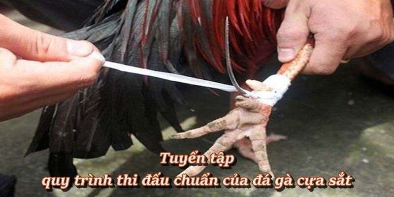 Tiêu chí phân định thắng thua trong từng trận
